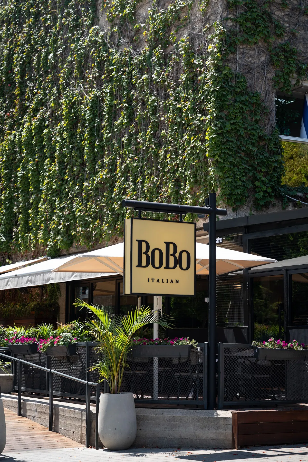 BOBO