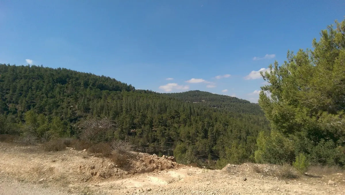 En Kobi