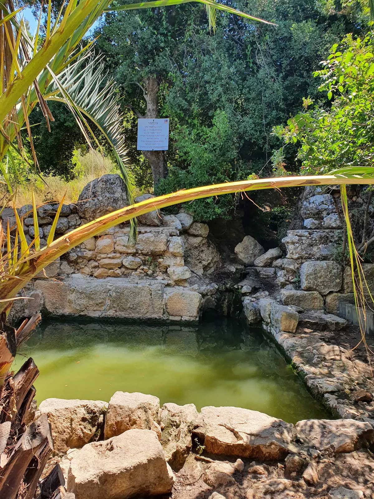 Maayan Ein Tamar - 2