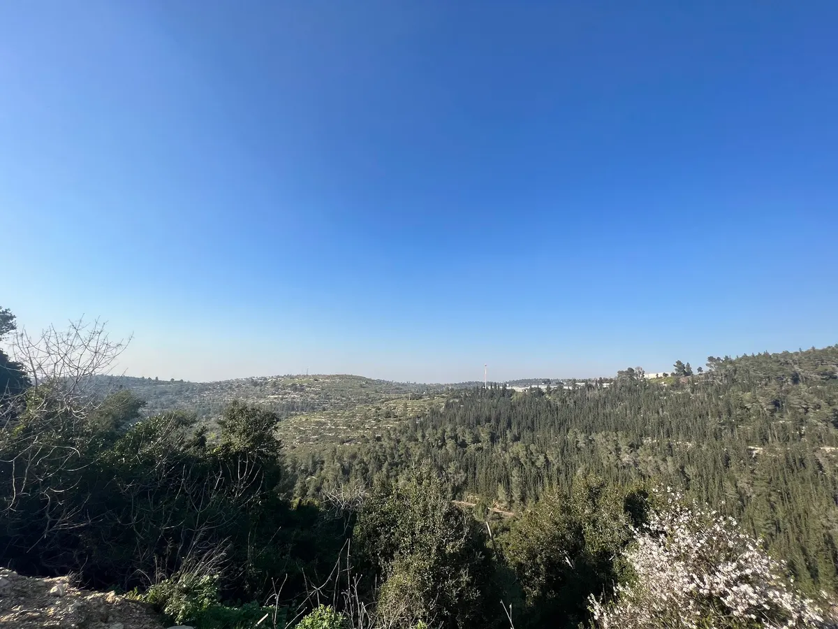 עין כסלון - 2