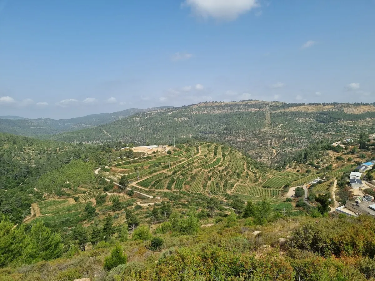 Ein Sarig - 2