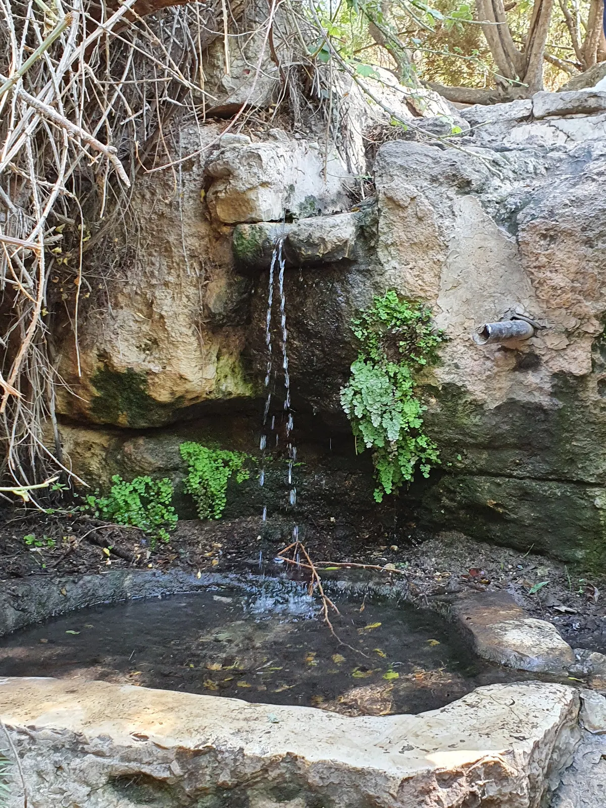 Ein Sarig - 3