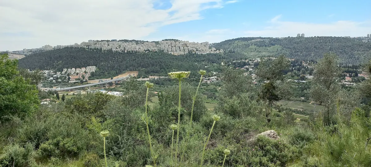 A bench viewpoint above Beit Zayit Dam