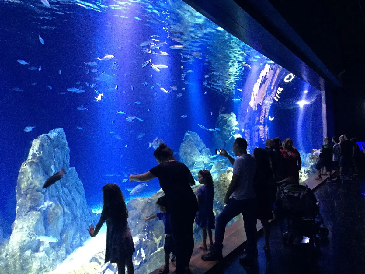 Aquarium d'Israël