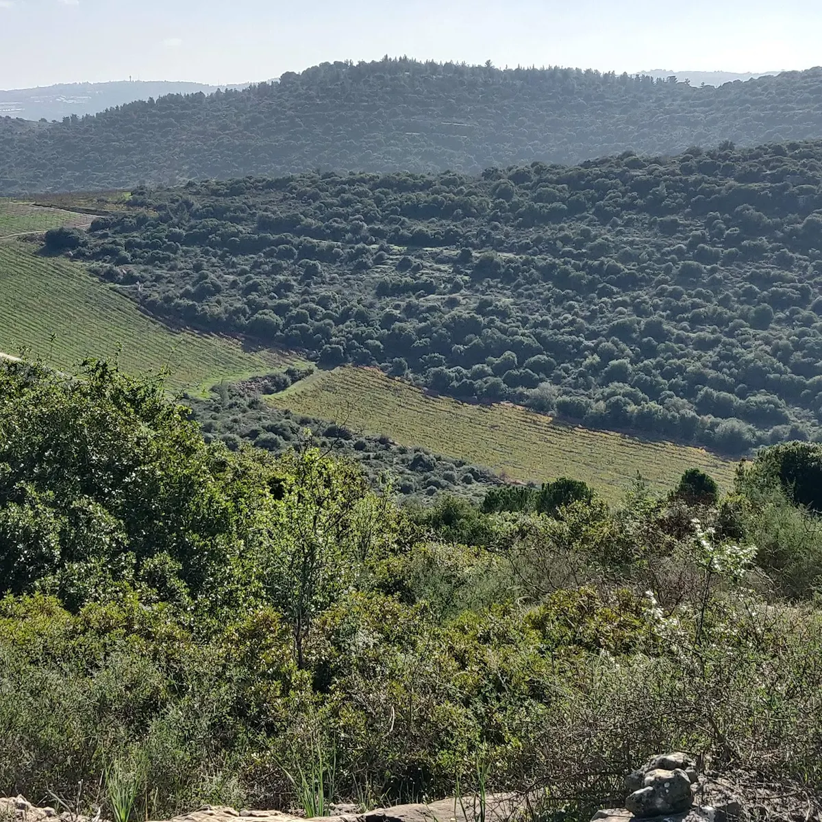 פארק עצמאות ארצות-הברית - 3