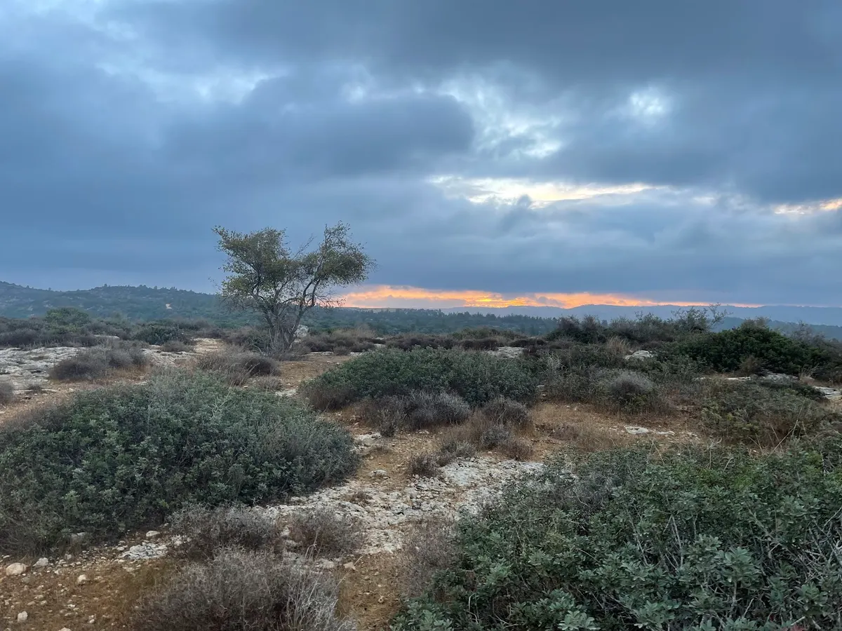 שמורת סנסן - 2