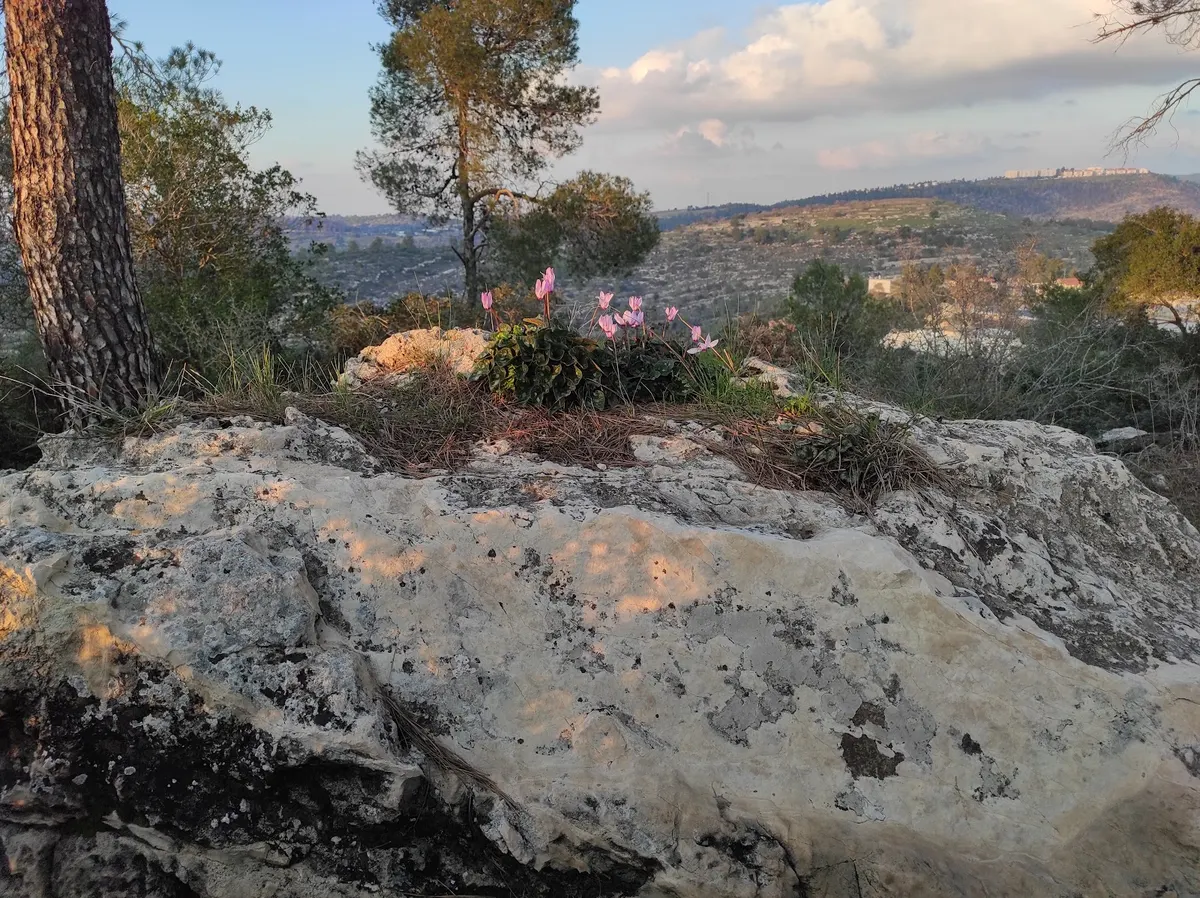 אנדרטת מגילת האש - 3
