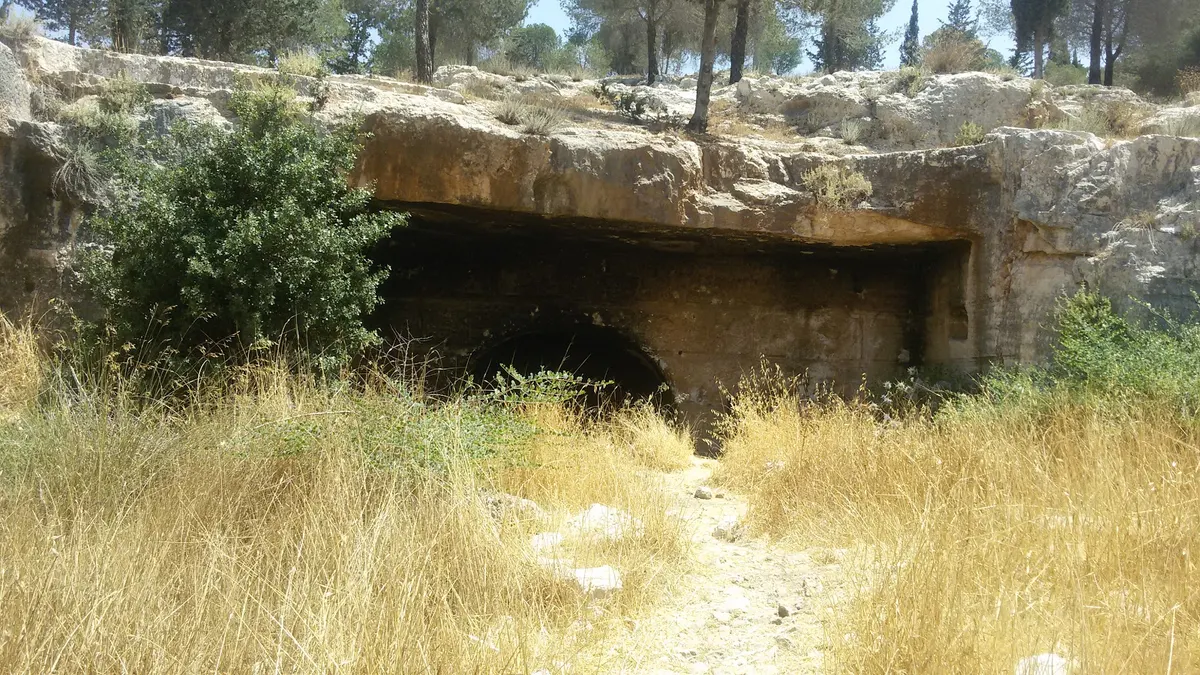 נחל צופים - 2