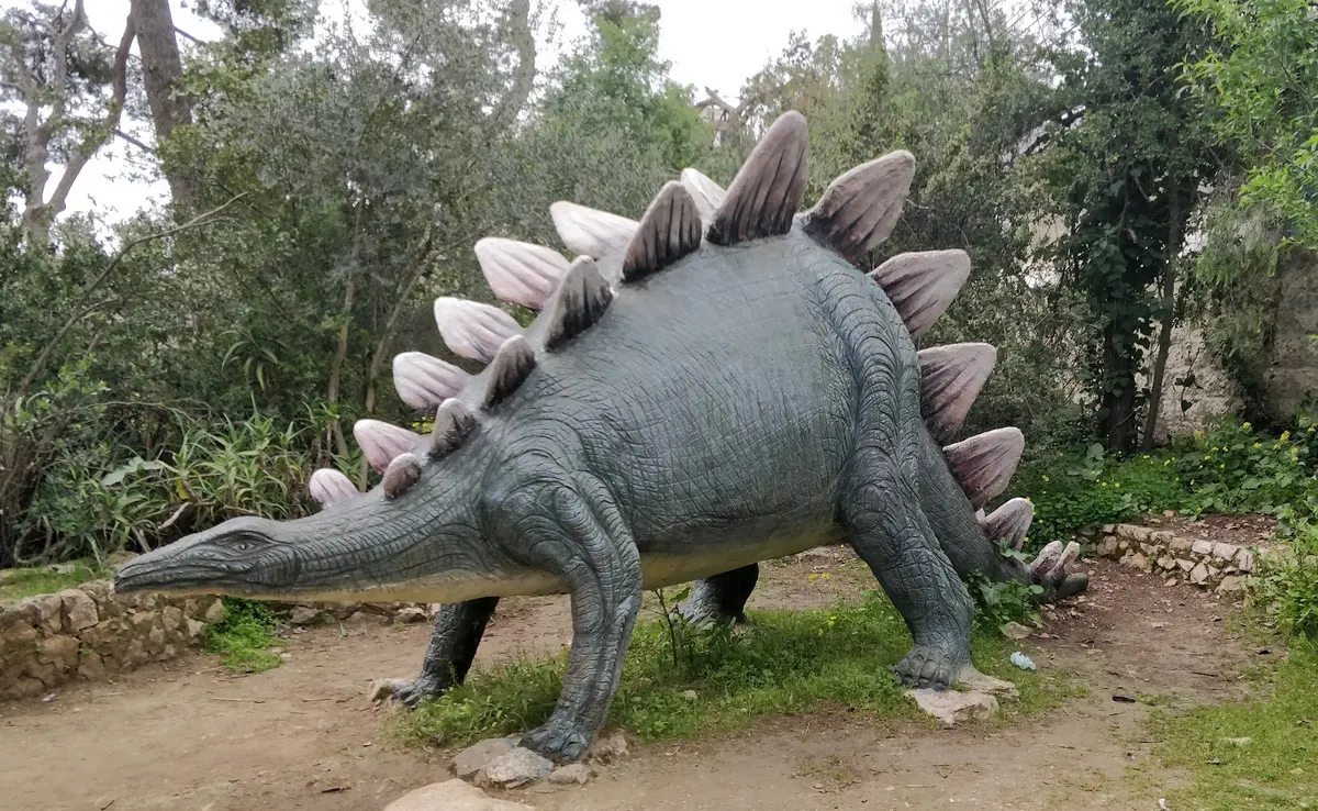 Musée d'histoire naturelle à Jérusalem
