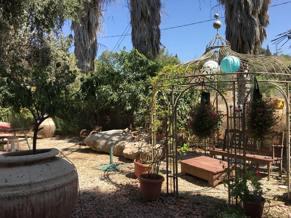Domaine " Emek HaEla ": un vin de qualité dans un paysage biblique - 2