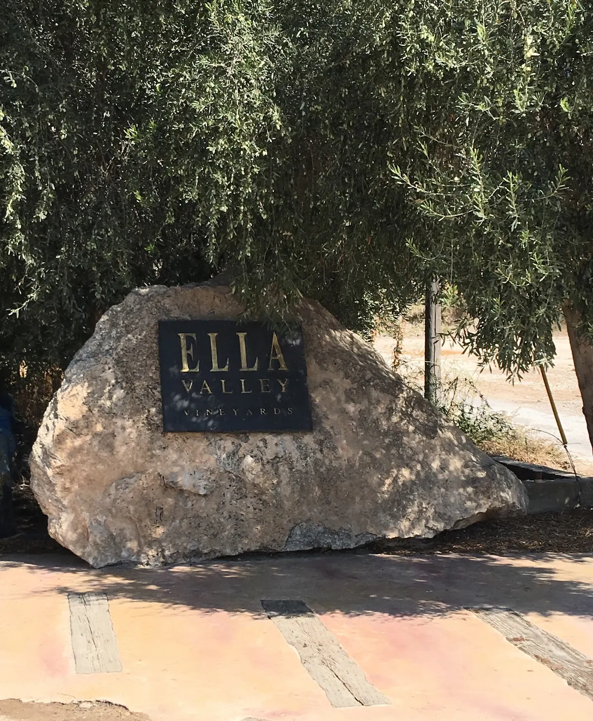 Domaine " Emek HaEla ": un vin de qualité dans un paysage biblique - 3