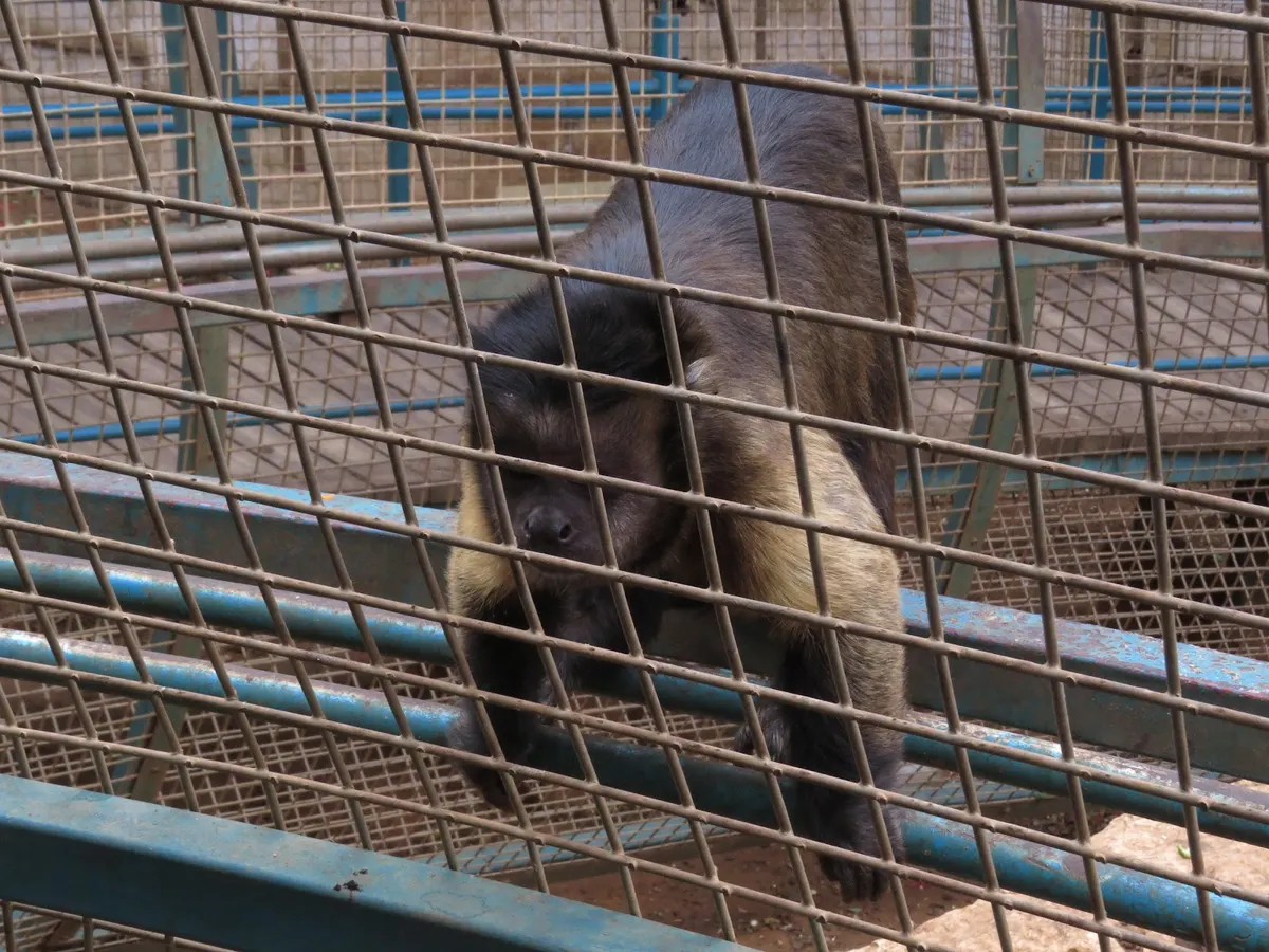 Parc zoologique urbain - 3
