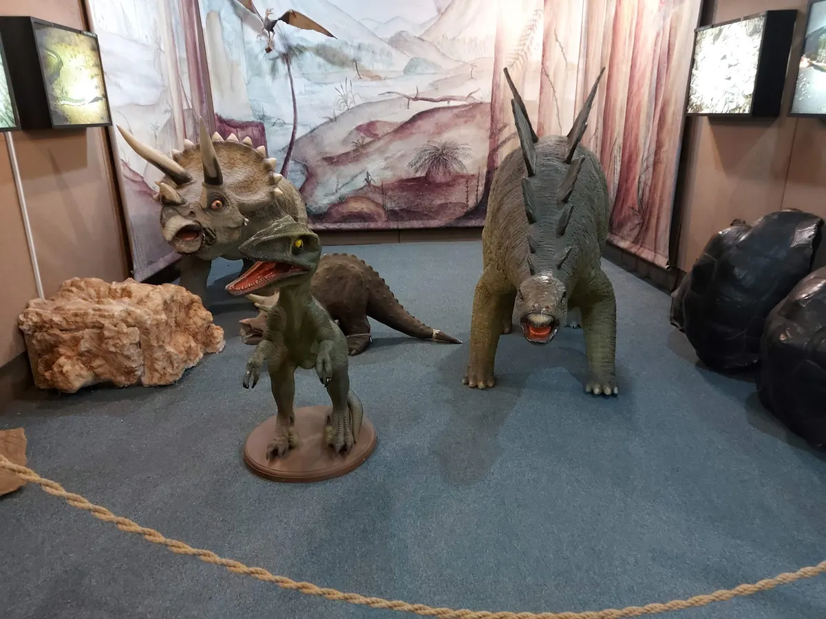מוזיאון האדם והחי - 3
