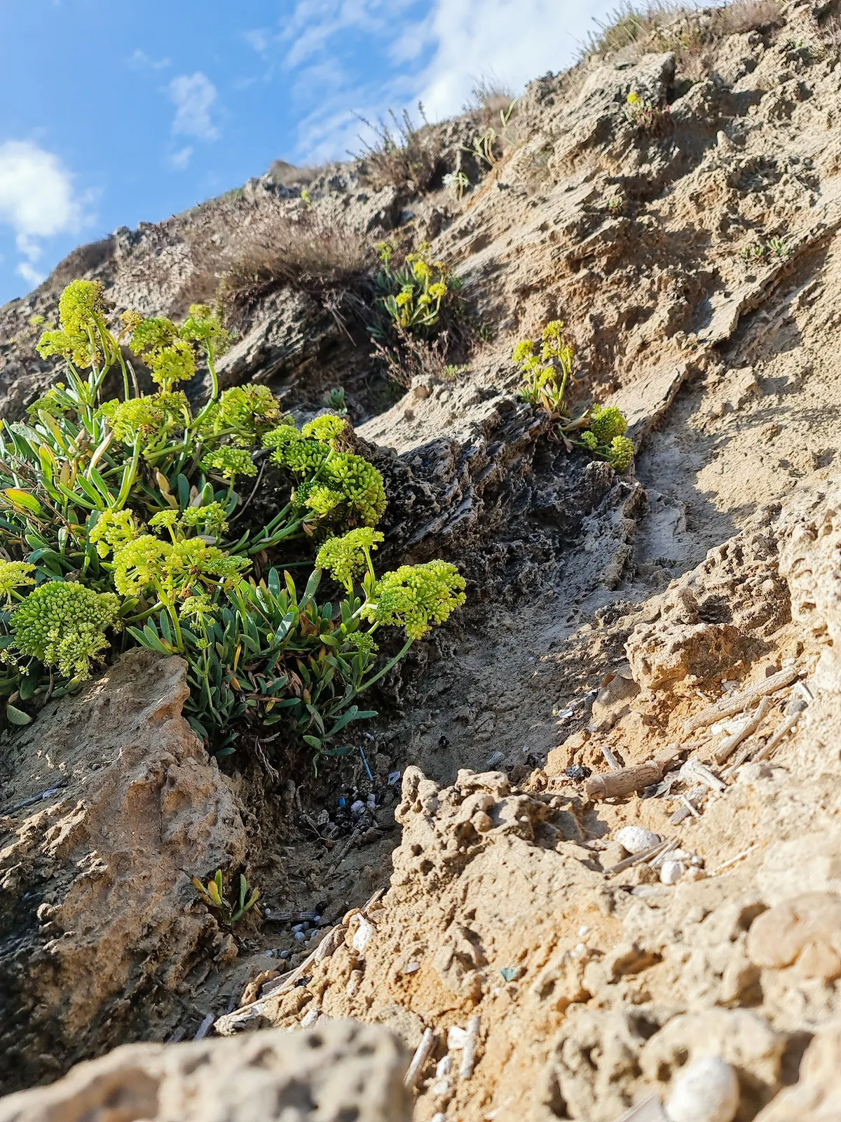 La plage de Gedor et la réserve naturelle de Tel Gedor - 3