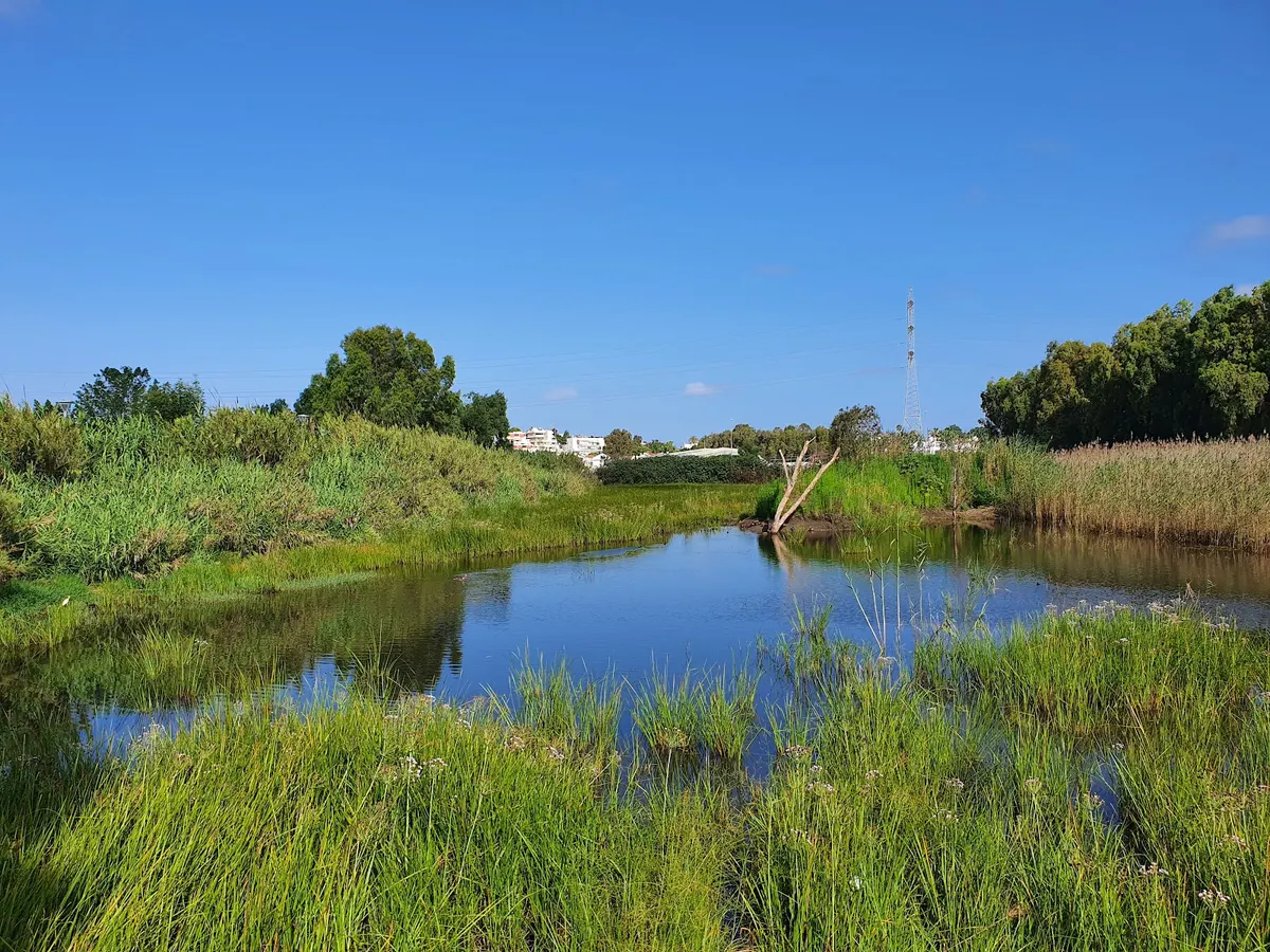 Parc Herzliya - 3