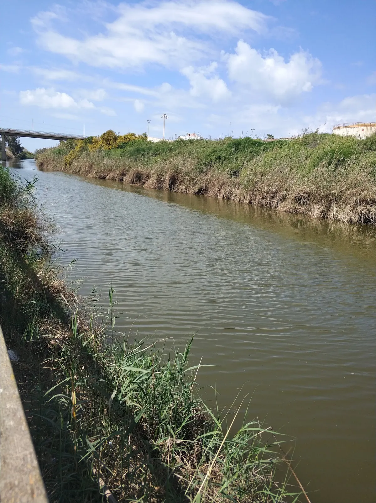 Ashdod: parc du Nahal Kishon