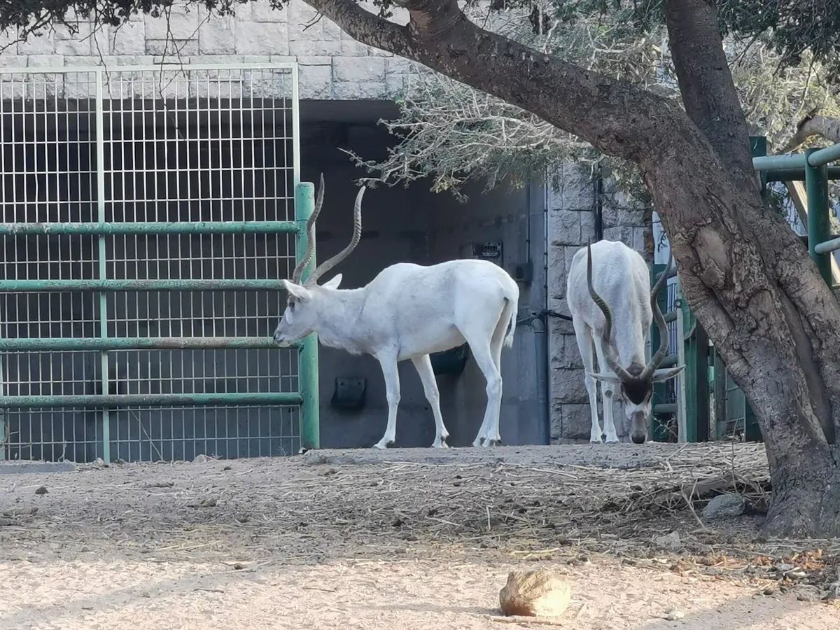Ashdod: parc du Nahal Kishon - 3