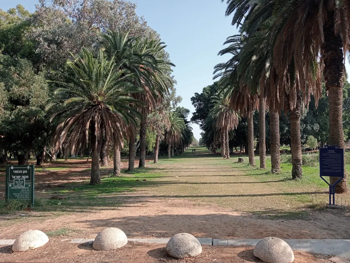 Le jardin botanique de Mikvé Israël