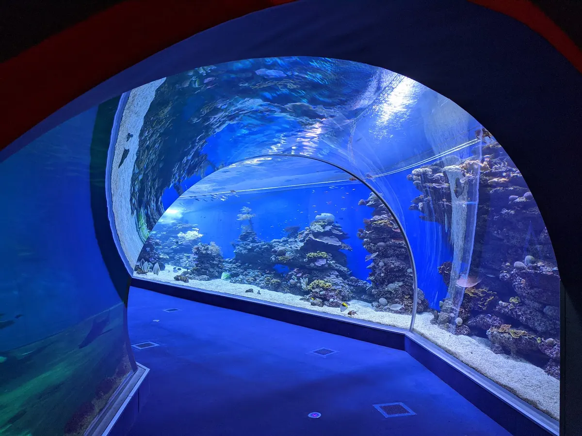 Parc de l'Observatoire sous-marin d'Eilat