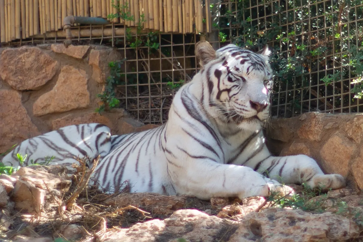 Zoo pédagogique de Haïfa