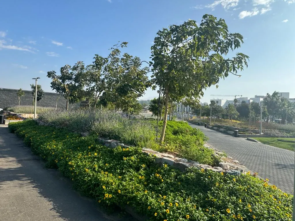 פארק הטרמינל: הסנטרל פארק של אילת - 2