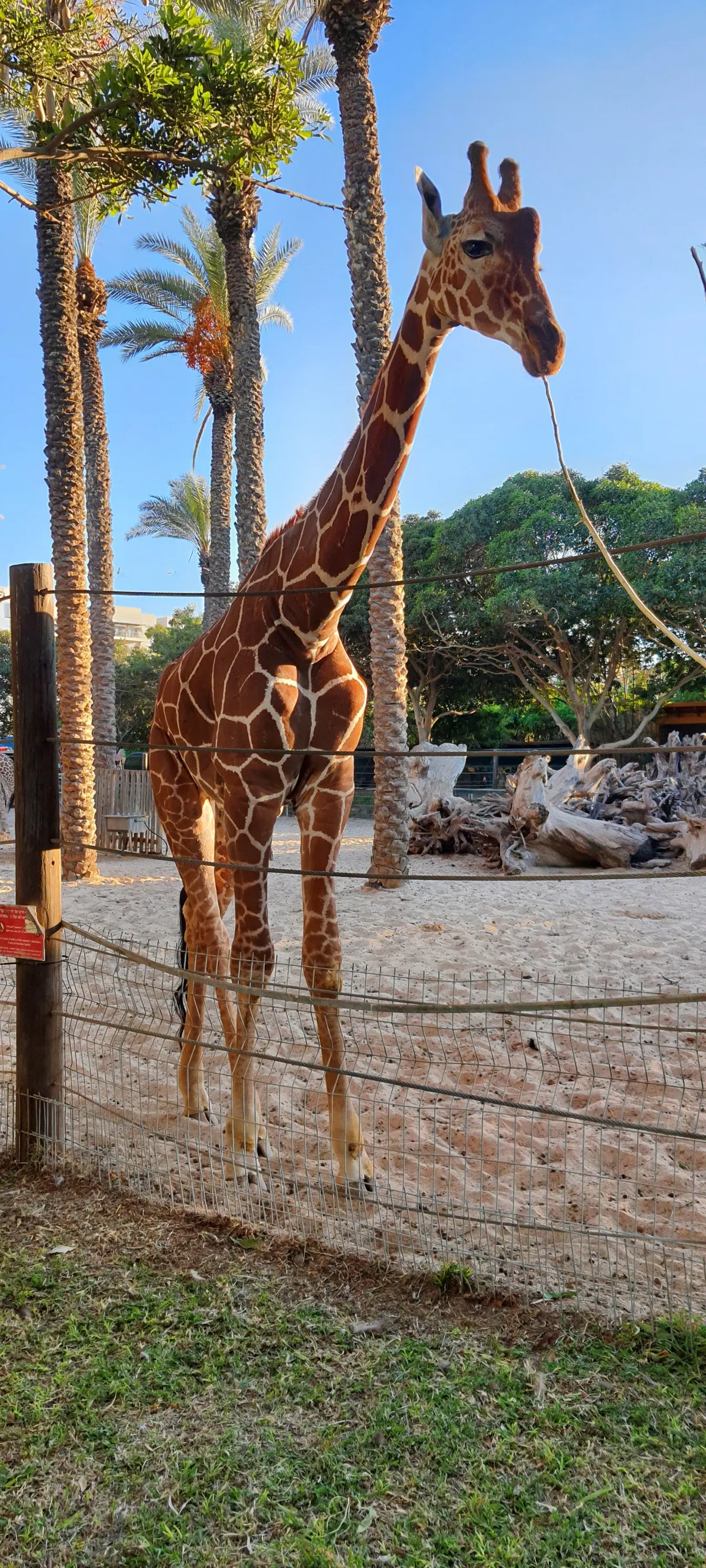Hay Park Kiryat Motzkin