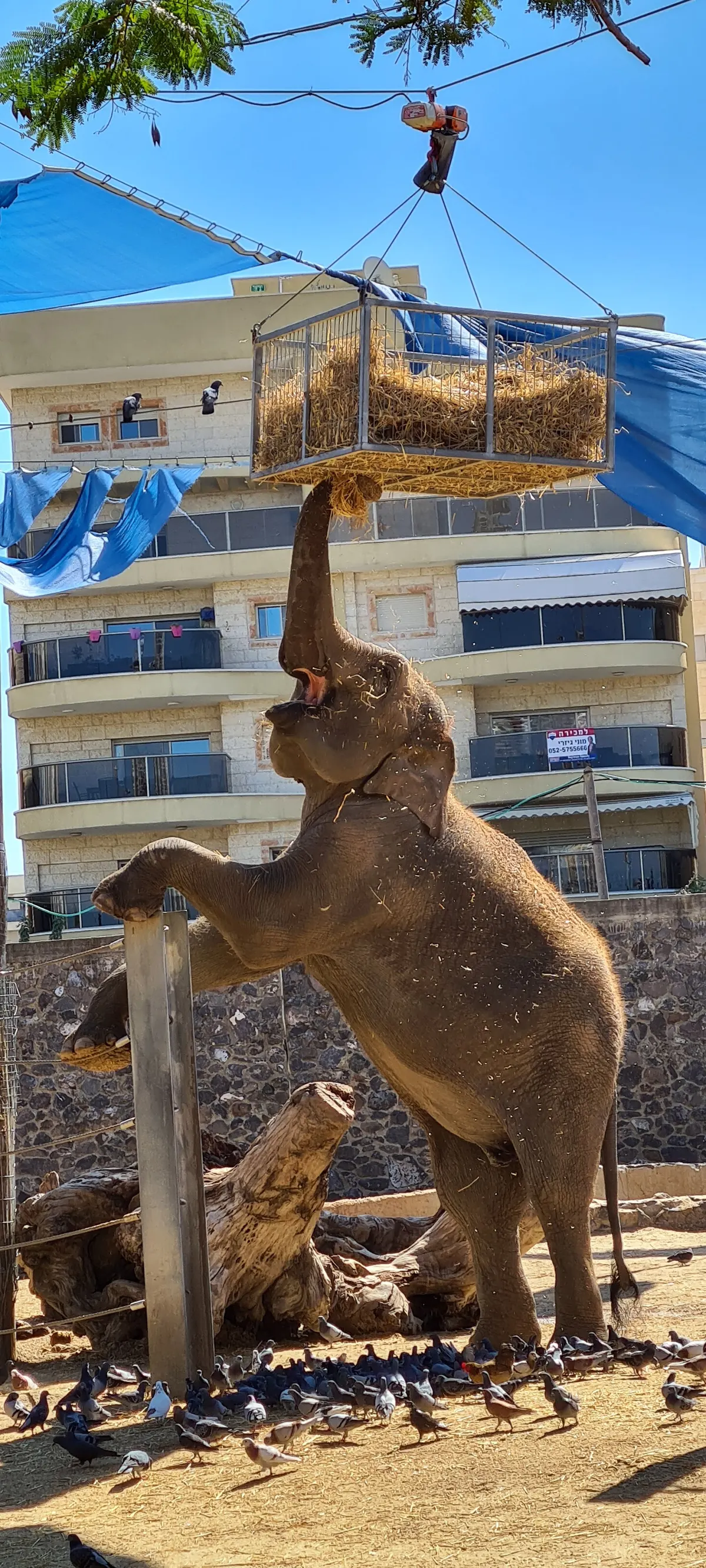 Hay Park Kiryat Motzkin - 2