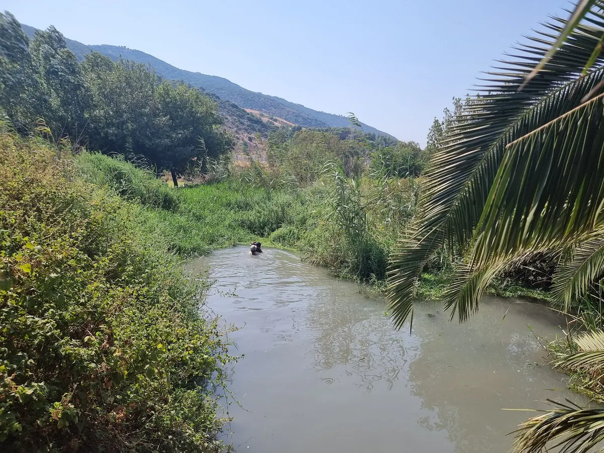 מעיין אלרואי - 3