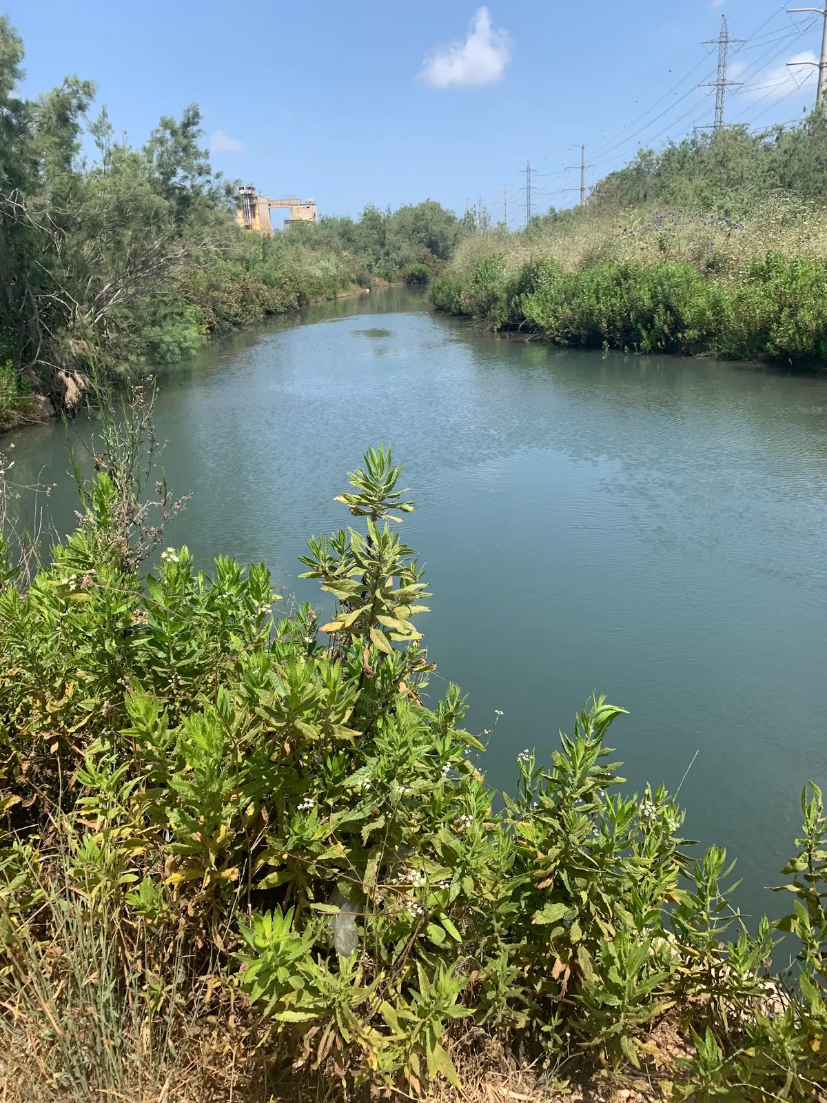 Nahal Sédéya