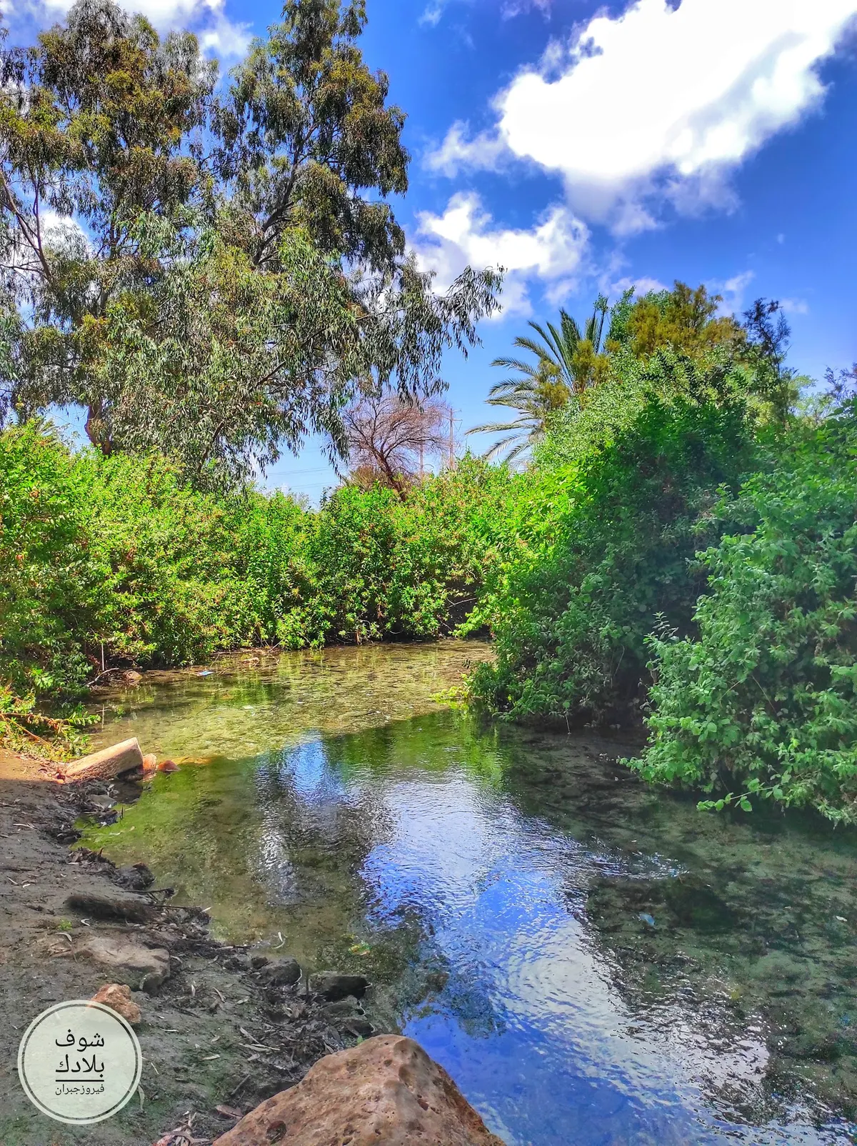 נחל סעדיה - 3