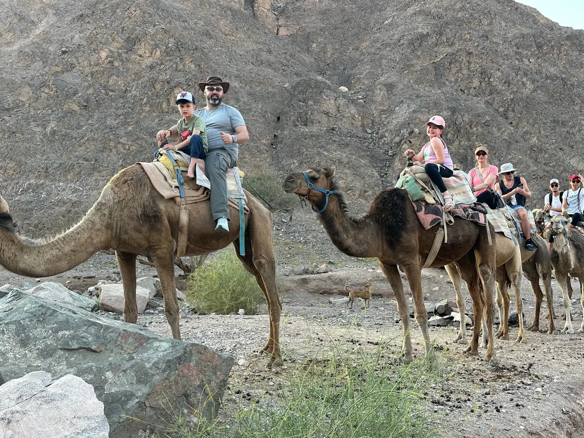 The Camel Farm in Eilat - 2