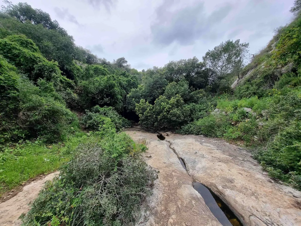 Le grand convoi dans le lit de la rivière Nahal Kziv