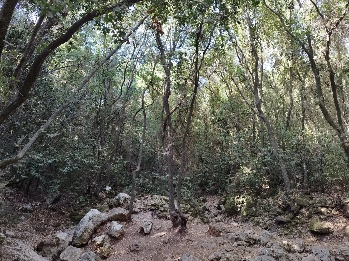 Le grand convoi dans le lit de la rivière Nahal Kziv - 2