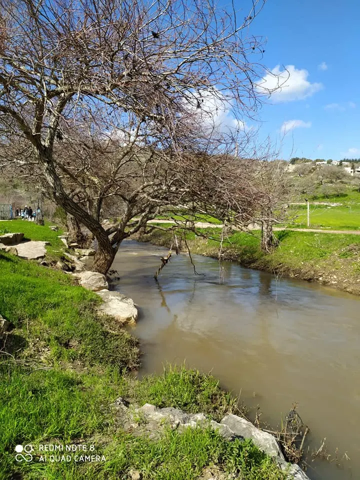 Observation de Nahal Zipori (rivière Zipori) à Manofit