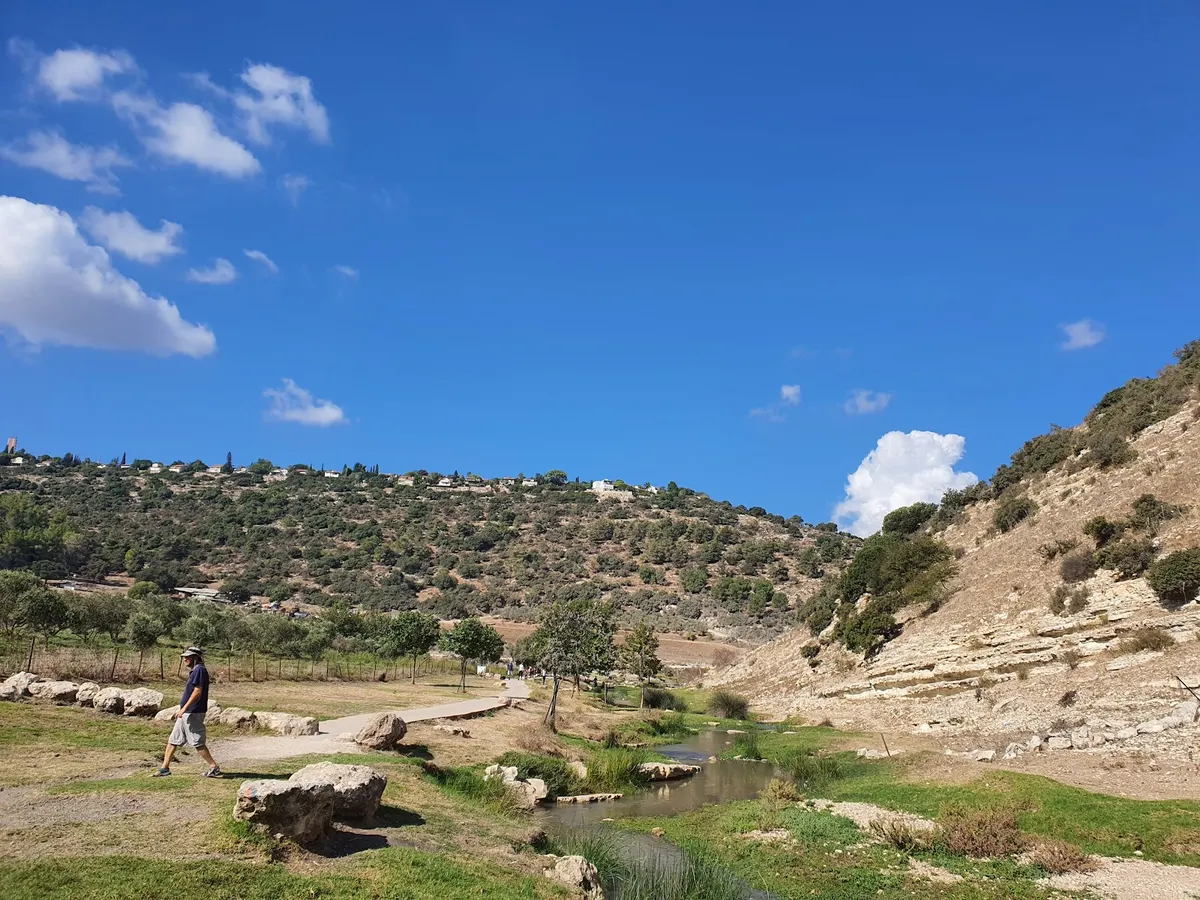 Observation of the Zipori Stream from Nofit - 2
