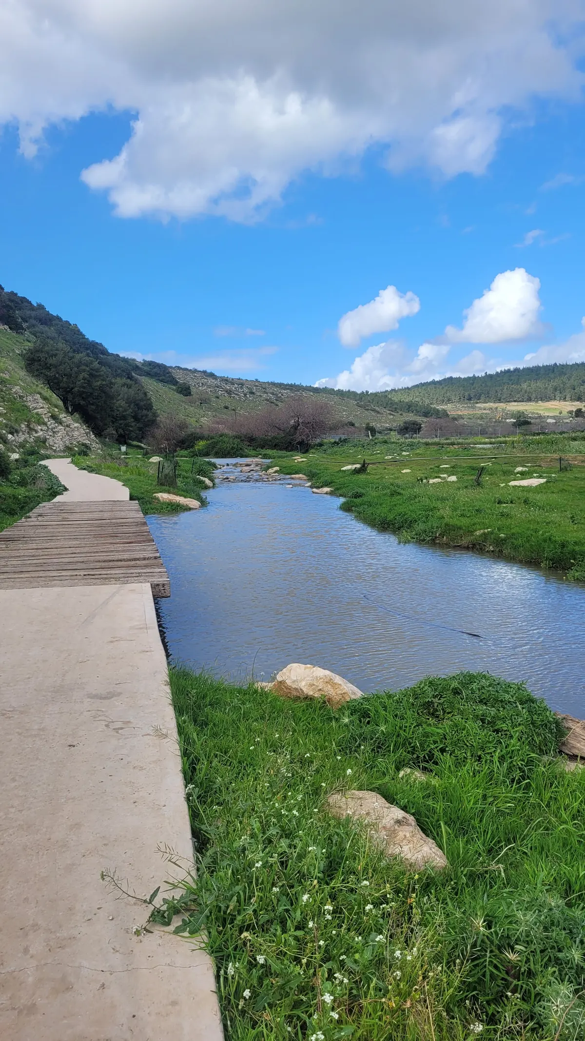 Observation of the Zipori Stream from Nofit - 3