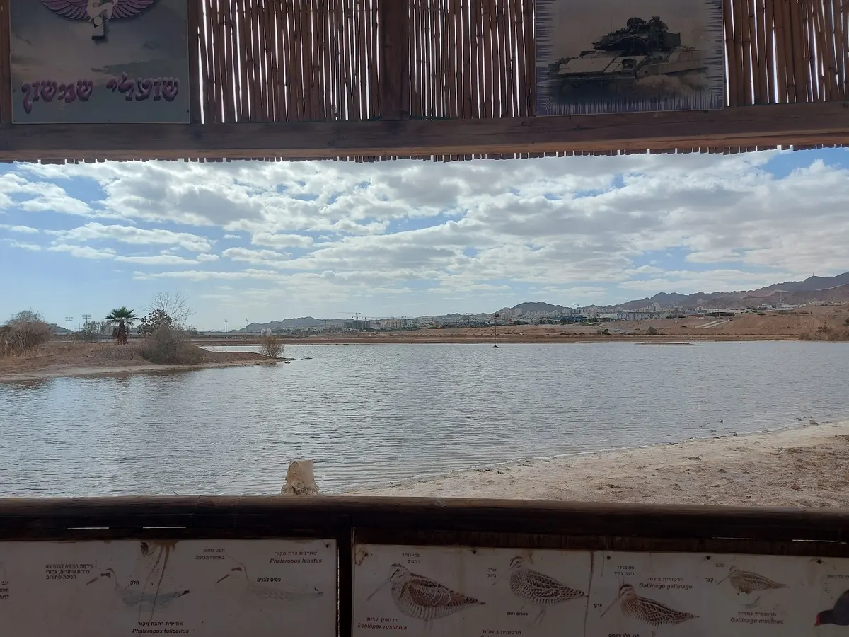 Eilat Bird Park - 3