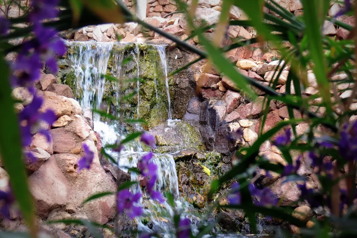 Le jardin botanique à Eilat.