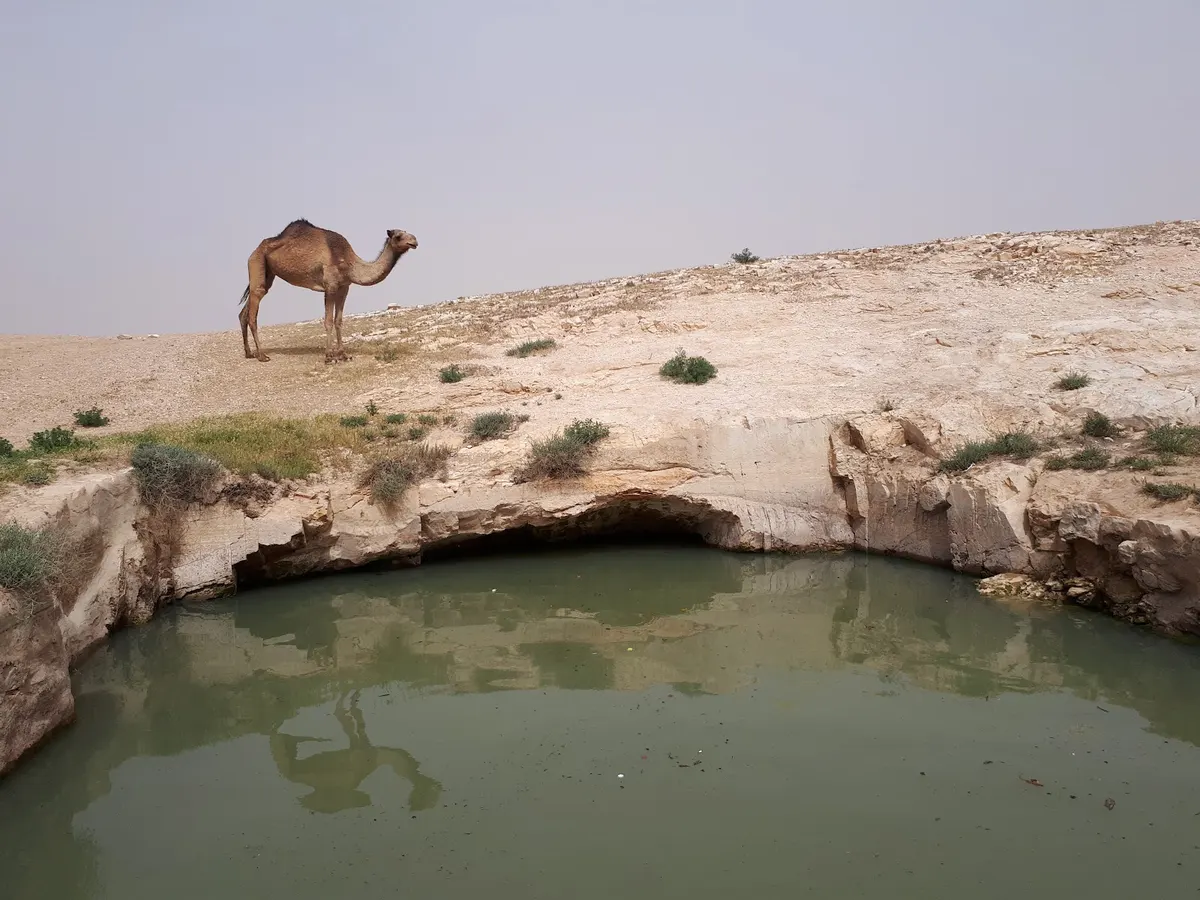 Nashon Afeq – Jeep Tours in the Desert - 2