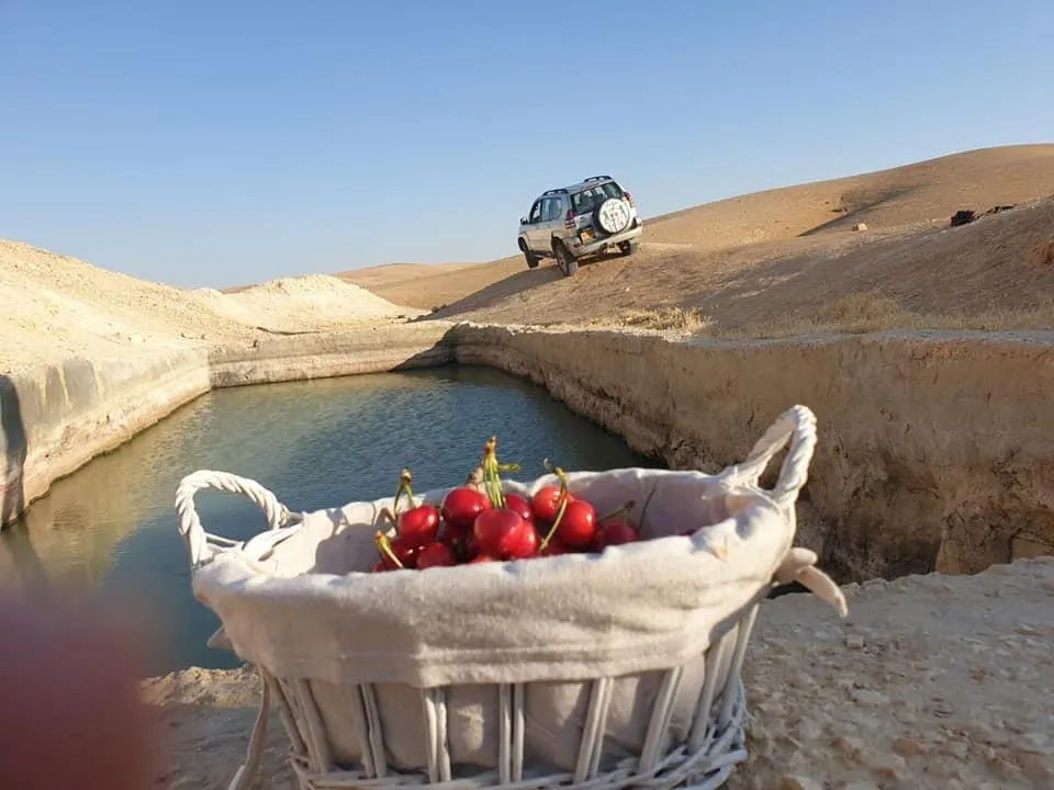 Nashon Afeq – Jeep Tours in the Desert - 3