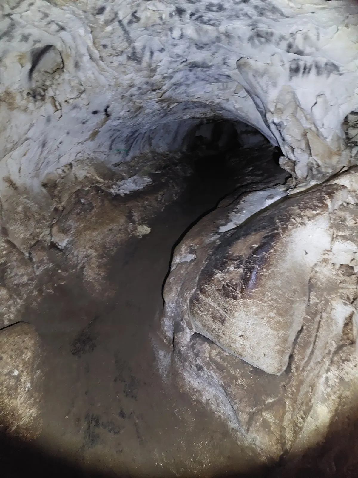 La grotte de Heriton