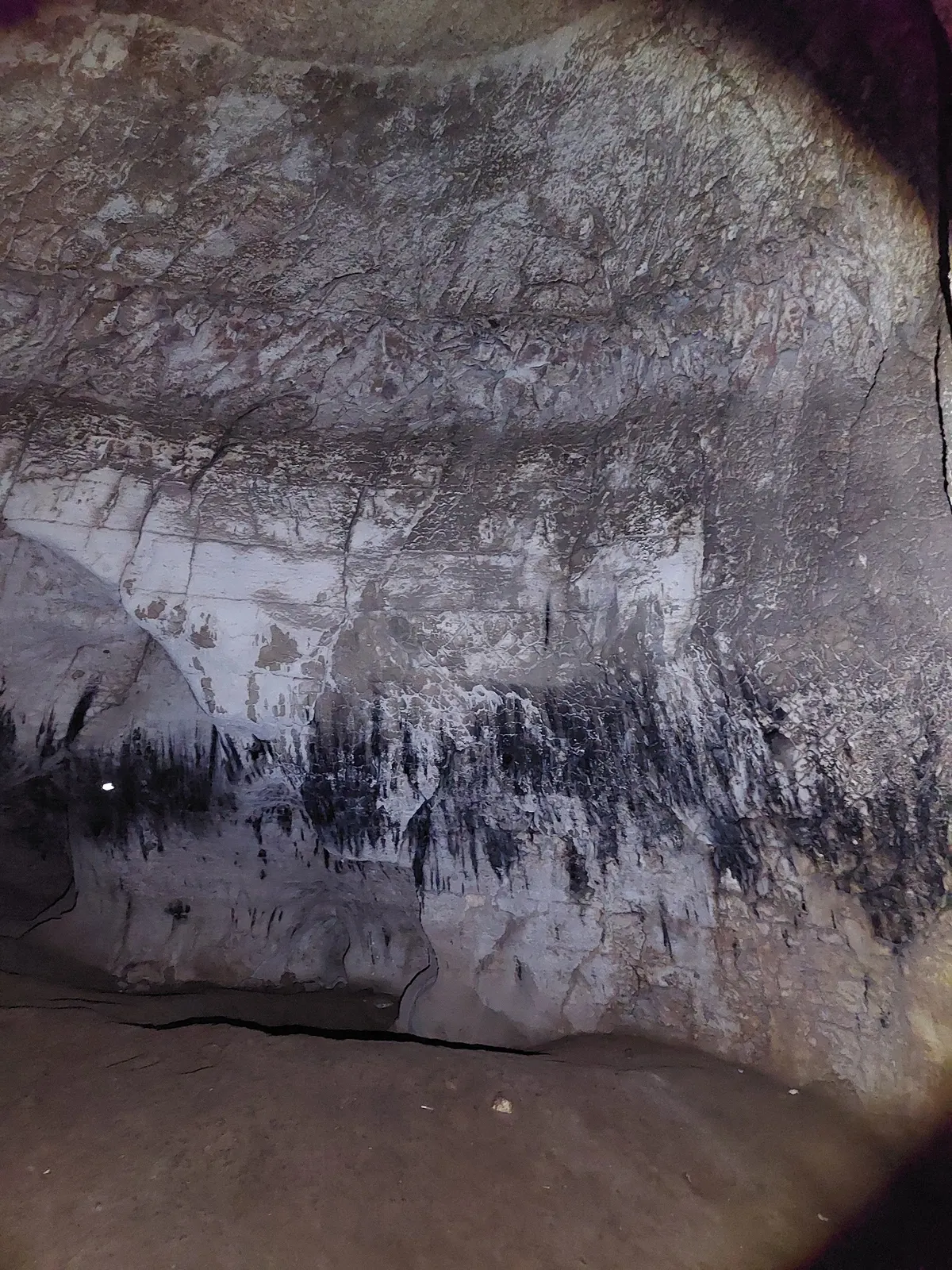 La grotte de Heriton - 2