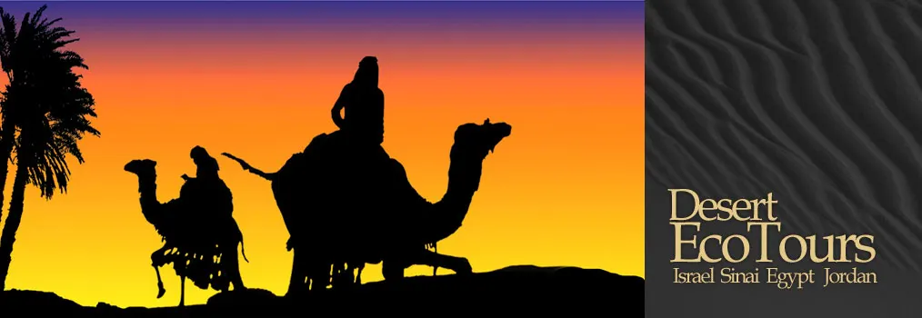 Eco Excursions du désert – excursions tout-terrain d'Eilat à la Jordanie