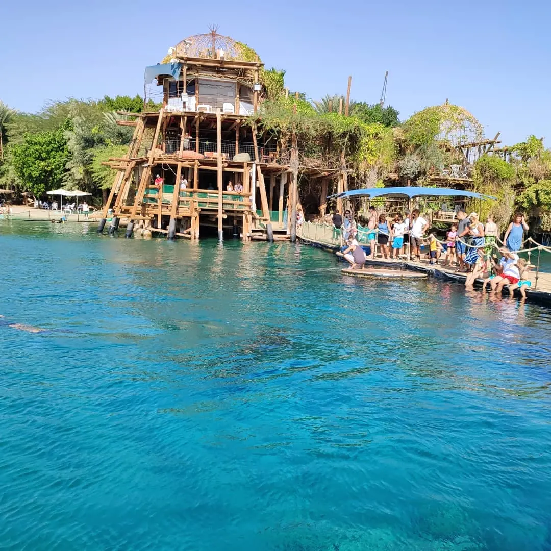 La Riffe des Dauphins à Eilat