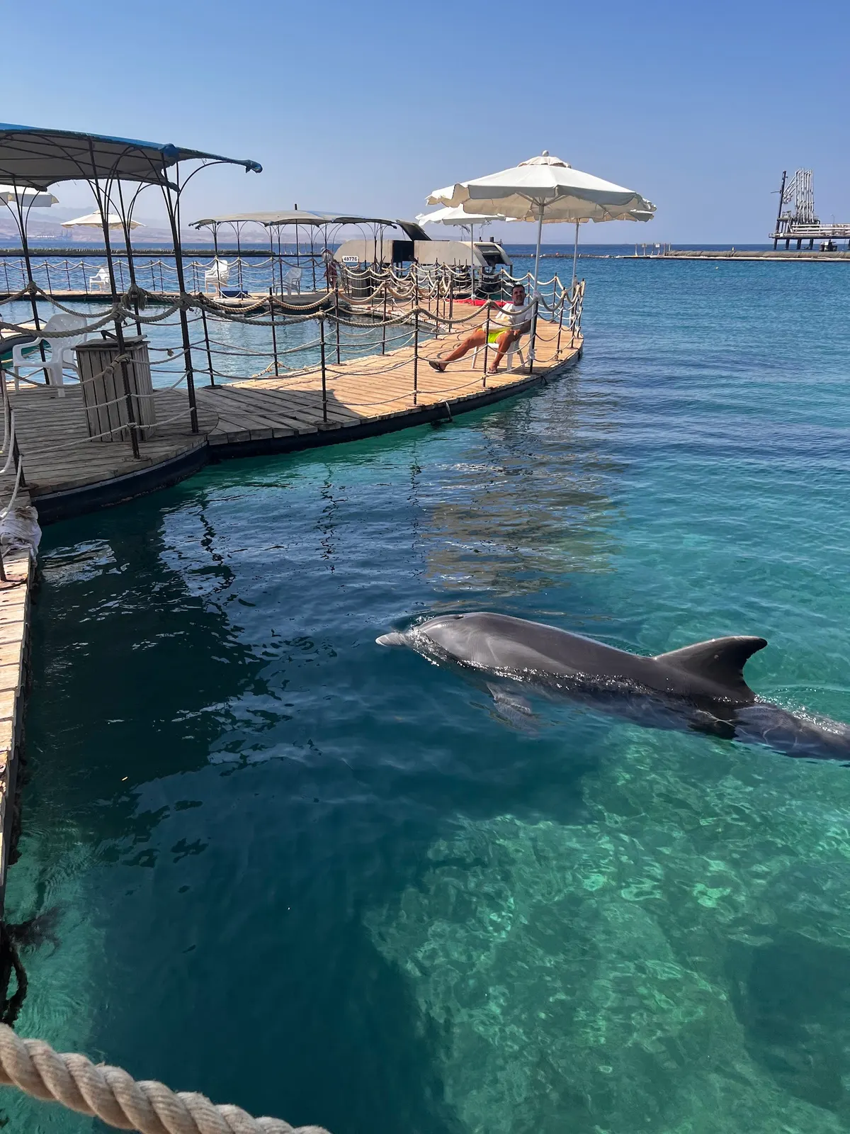 La Riffe des Dauphins à Eilat - 3