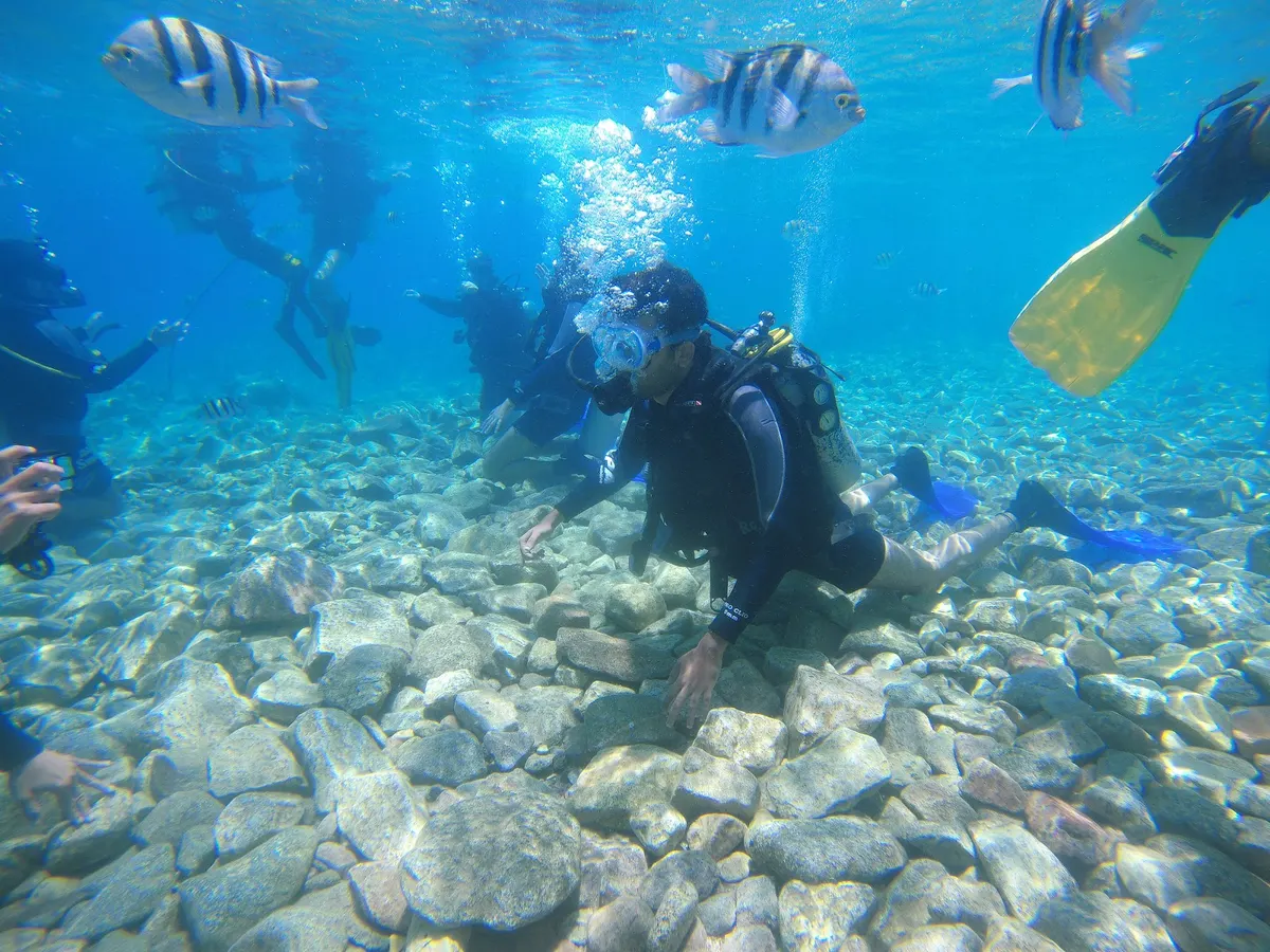 Snuba Diving Club Eilat - 3