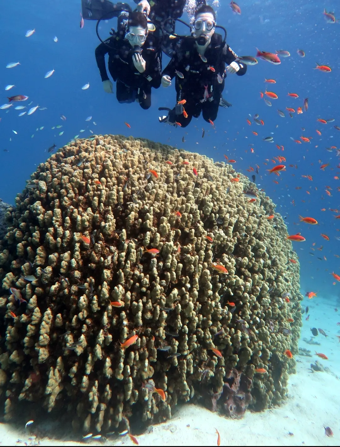 Lucky Divers - 3