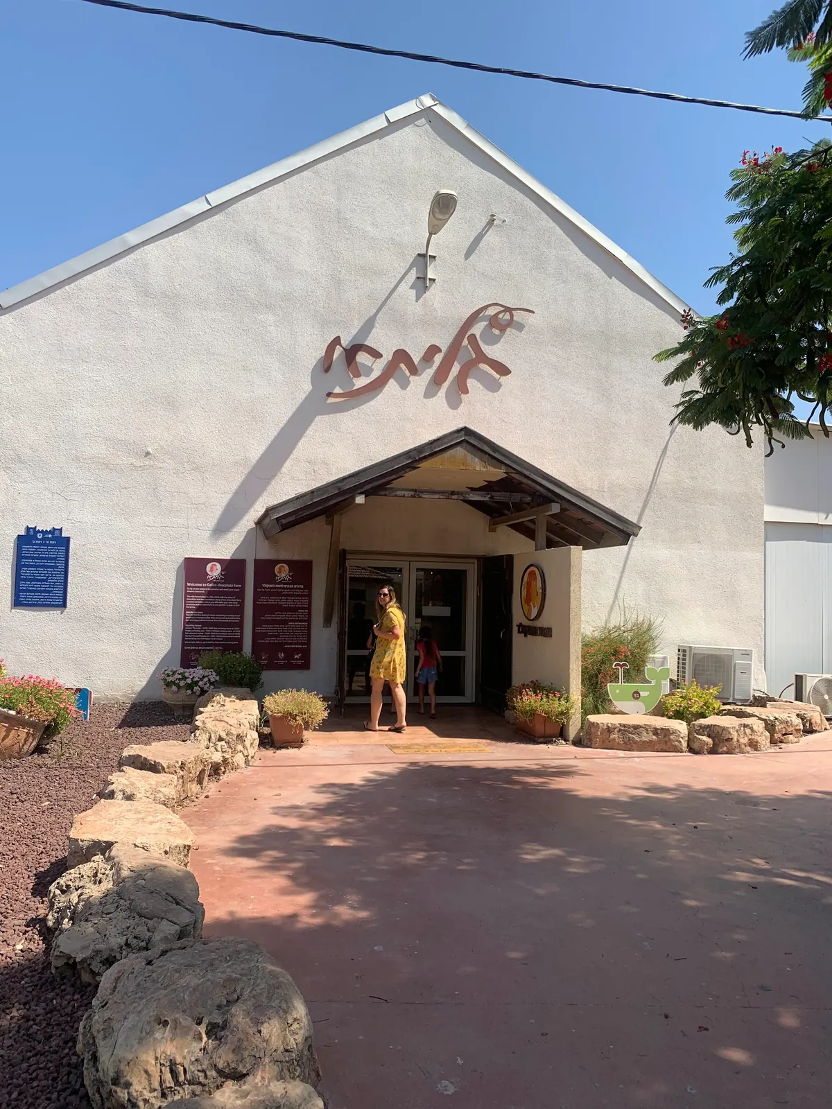 Galita — Ferme du chocolat