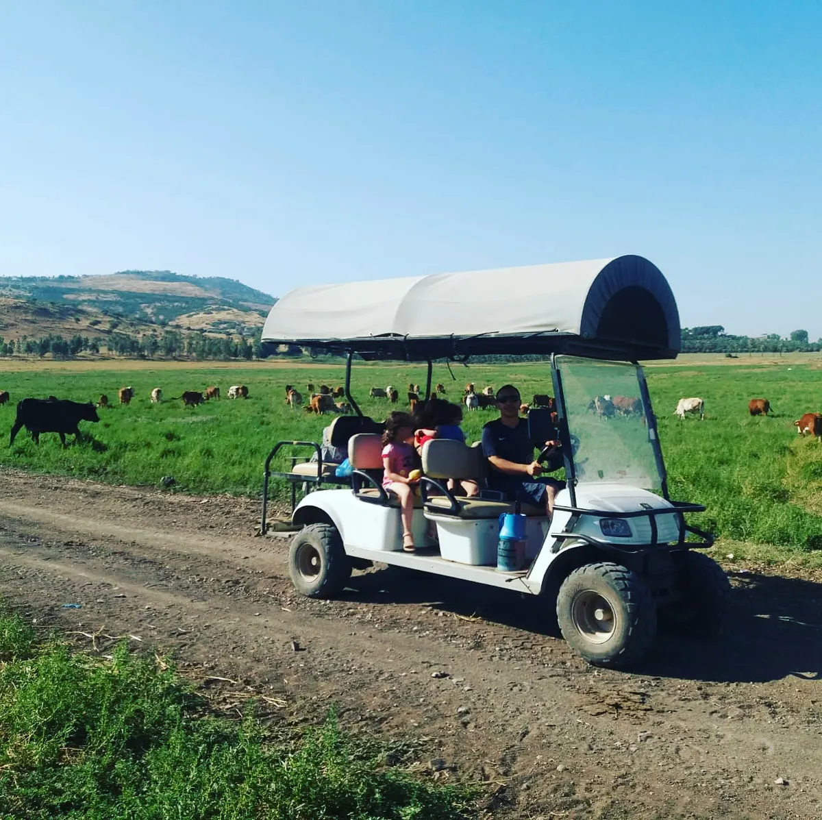 Les chars du Jourdain: sorties en club-car - 3