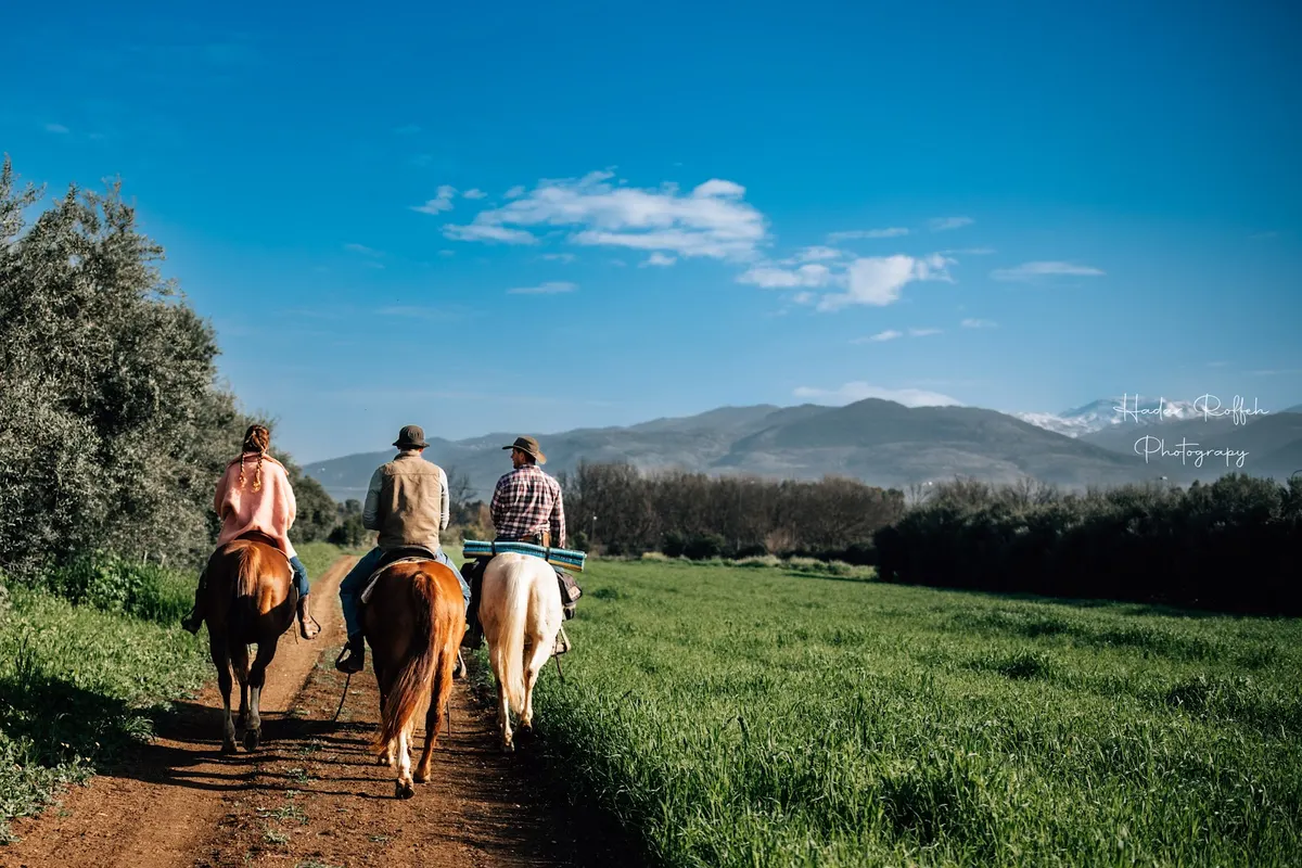 Ferme de Yarden - Balades à cheval en Galilée